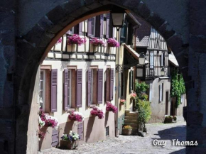 Maison à Colombages au Cœur du Vignoble Alsacien avec Parking et Chauffage Inclus - FR-1-744-23